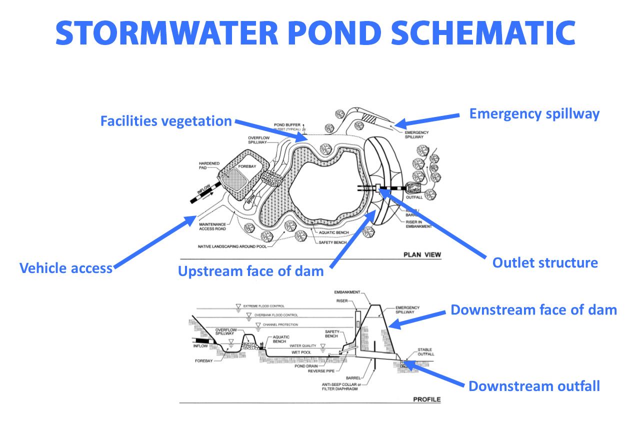Stormwater Pond Schematic